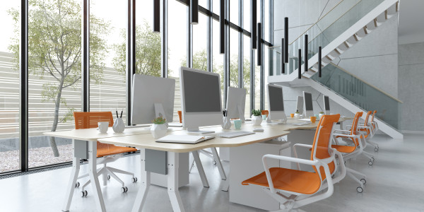 Proyectos de ICT Oficinas / Locales Comerciales  Igualada · Implementación de servicios de transmisión de contenido audiovisual